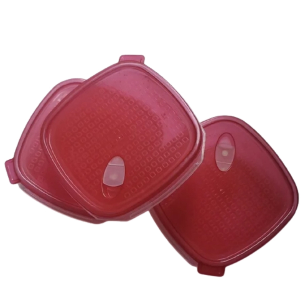 Microwave Safe Tupperware Used for Raw Meat Dog Food Diet-OS
